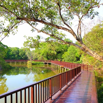 บางกระเจ้า