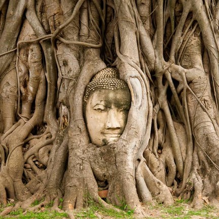 อุทยานประวัติศาสตร์พระนครศรีอยุธยา