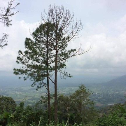 อนุสรณ์สถานผู้เสียสละเขาค้อ