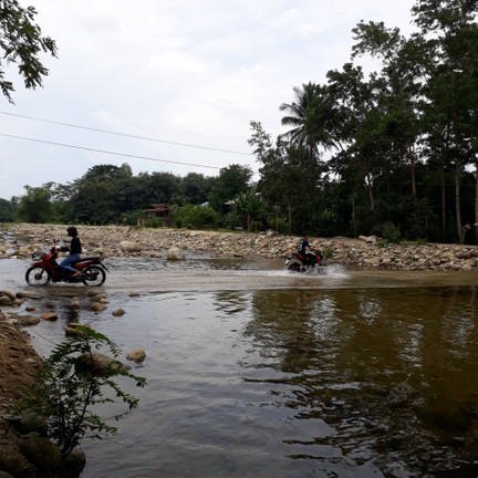 วังปลาแงะ พรหมโลก