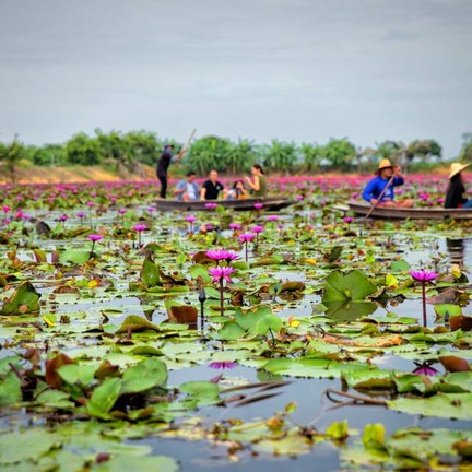 ตลาดน้ำทุ่งบัวแดง ณ บางเลน