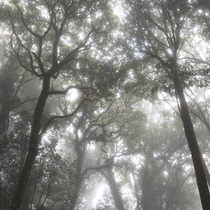 อุทยานแห่งชาติดอยอินทนนท์