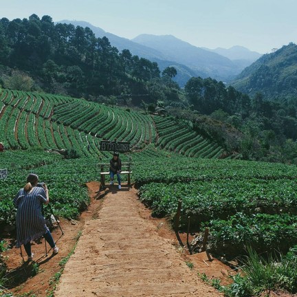 ดอยอ่างขาง