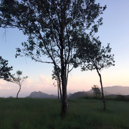 อุทยานแห่งชาติภูชี้ฟ้า