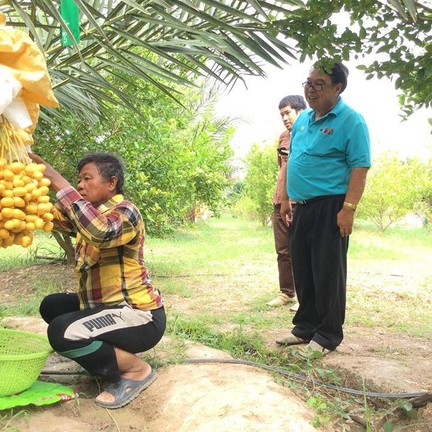 สวนวัฒนะโชติ