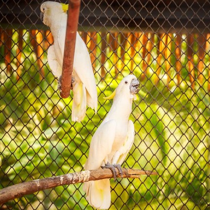 สวนนกชัยนาท