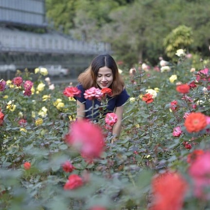 สวนพฤกษศาสตร์สมเด็จพระนางเจ้าสิริกิติ์