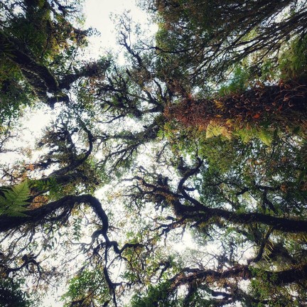 เส้นทางศึกษาธรรมชาติอ่างกา