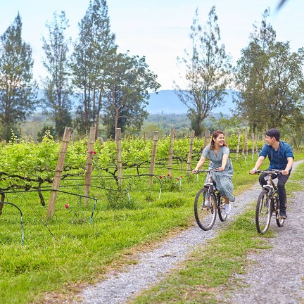 Village Farm & Winery