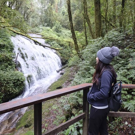 เส้นทางศึกษาธรรมชาติกิ่วแม่ปาน