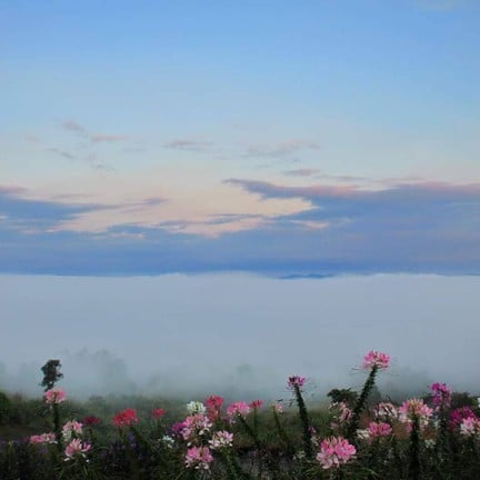 จุดชมวิวเขาค้อ