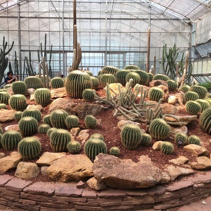 สวนพฤกษศาสตร์สมเด็จพระนางเจ้าสิริกิติ์