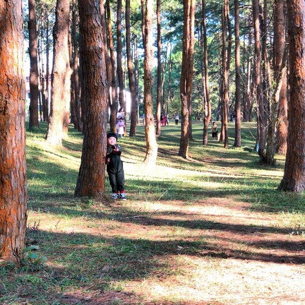 พระตำหนักเขาค้อ