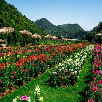 สถานีเกษตรหลวงอ่างขาง