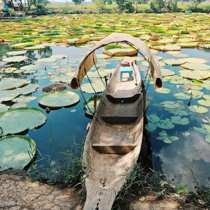 บัวอมรรัตน์ พิษณุโลก