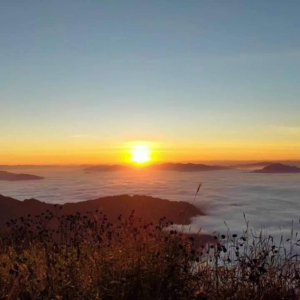 อุทยานแห่งชาติภูชี้ฟ้า