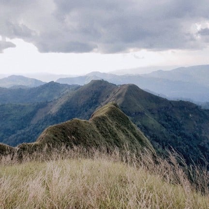 เขาช้างเผือก