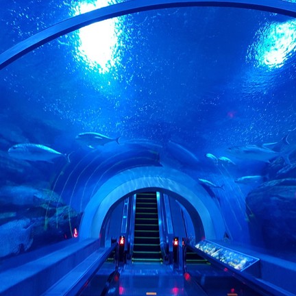 บึงฉวาก