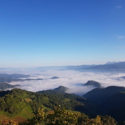 ศูนย์พัฒนาโครงการหลวง ม่อนเงาะ