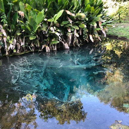 น้ำตกบัวตอง