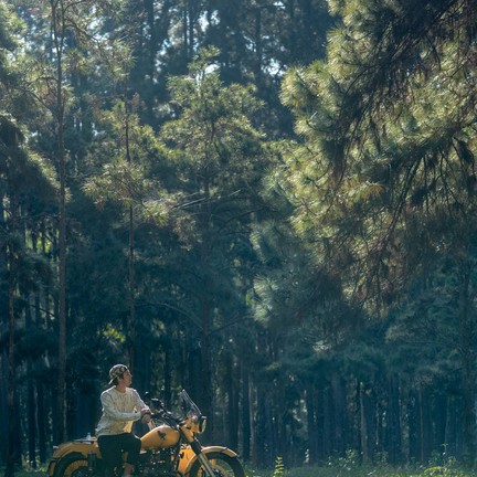 สวนสนบ่อแก้ว