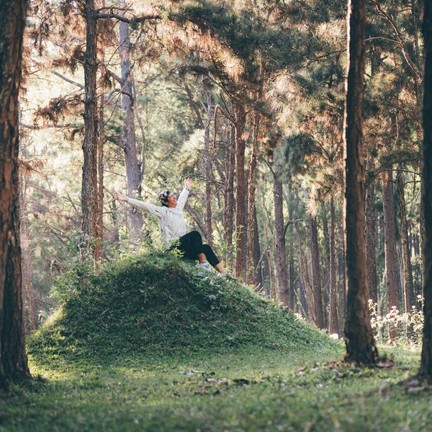 สวนสนบ่อแก้ว