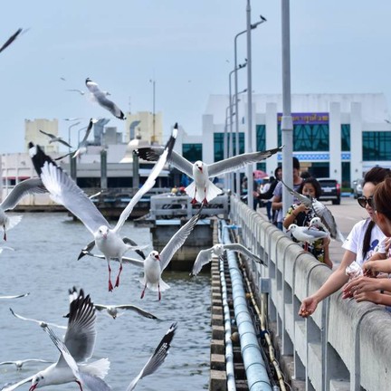 สถานตากอากาศบางปู