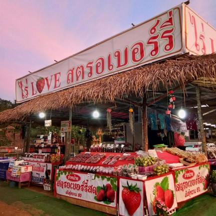 ไร่เลิฟสตอเบอร์รี่