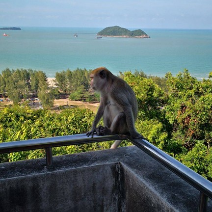 เขาตังกวน