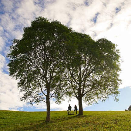 ดอยเสมอดาว