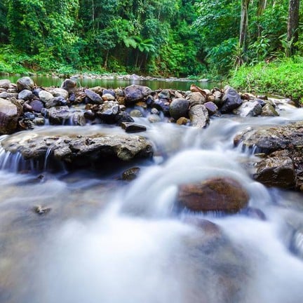 น้ำตกโยง