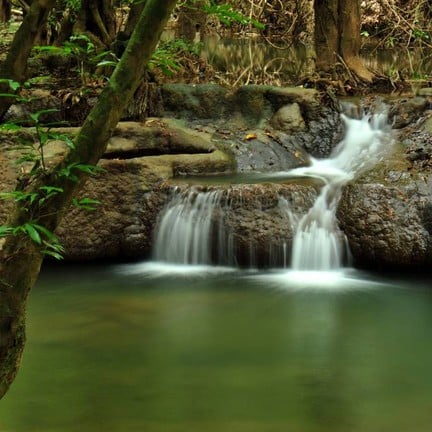 อุทยานแห่งชาติน้ำตกสี่ขีด