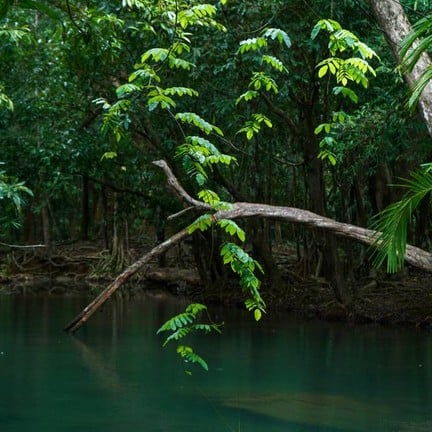 อุทยานแห่งชาติน้ำตกสี่ขีด