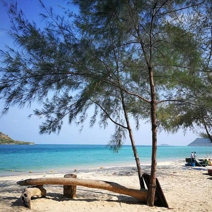 เกาะแสมสาร