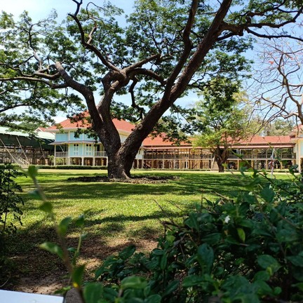 พระราชนิเวศน์มฤคทายวัน