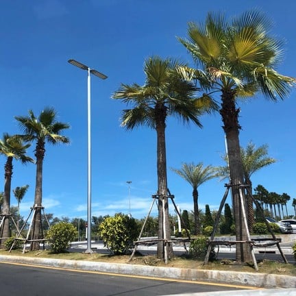 สวนสาธารณะสงขลา