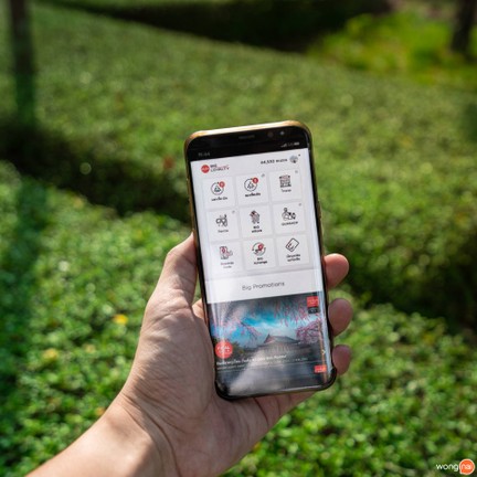 ดอยแม่สลองไร่ชา 101