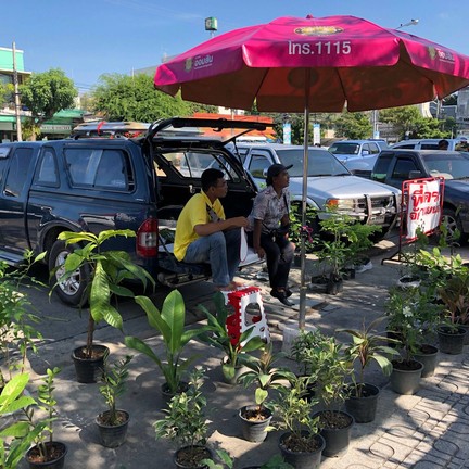 ตลาดนัดวันอาทิตย์ สงขลา