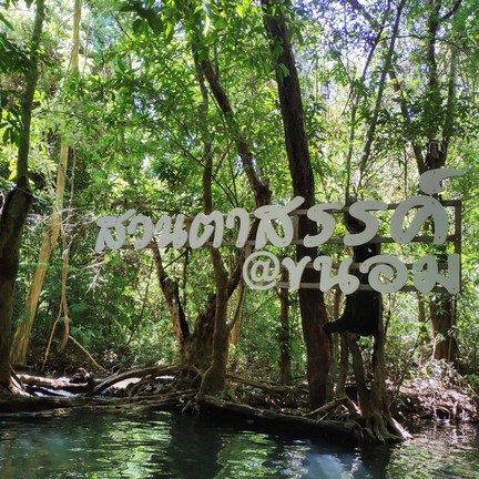 สวนตาสรรค์