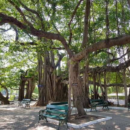 พระรามราชนิเวศน์ (พระราชวังบ้านปืน)