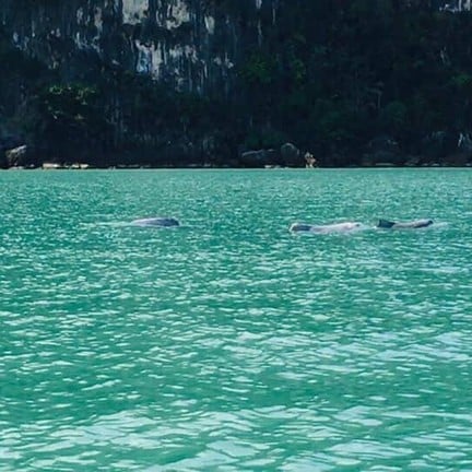 แหลมประทับ