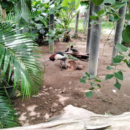 สวนสัตว์สงขลา