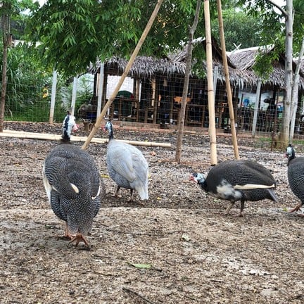 บ้านวิถีไทย หาดใหญ่