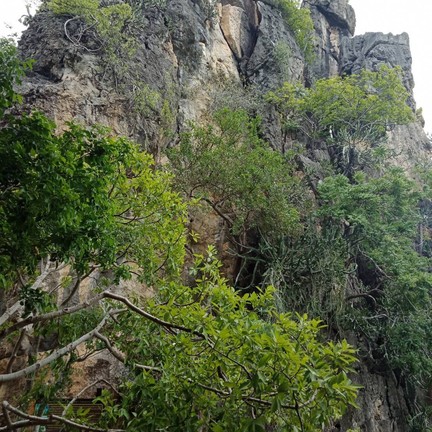 วนอุทยานเขานางพันธุรัต