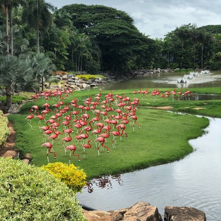 สวนนงนุชพัทยา