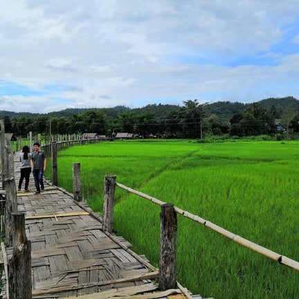 เขียวมากกกกก นักท่องเที่ยวก็น้อย