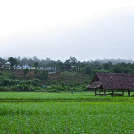 สะพานซูตองเป้