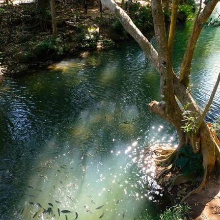 สวนรุกขชาติมวกเหล็ก