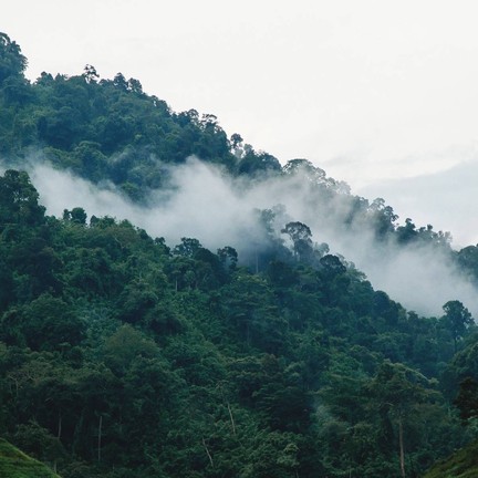 เขื่อนขุนด่านปราการชล