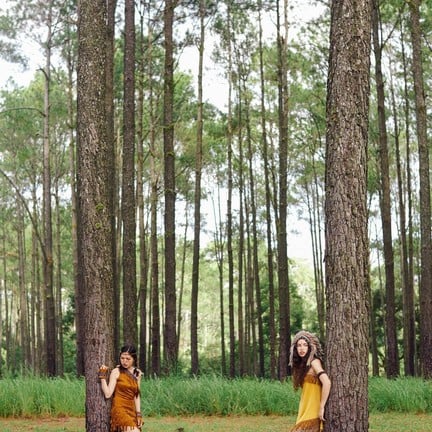 ทุ่งนางพญา